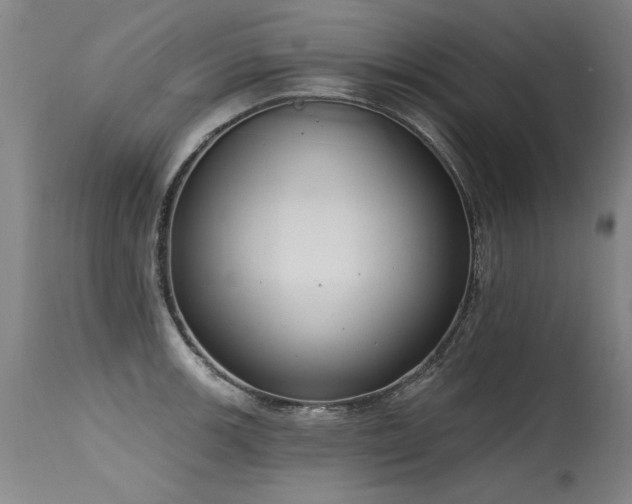 X0000115631139200911101432