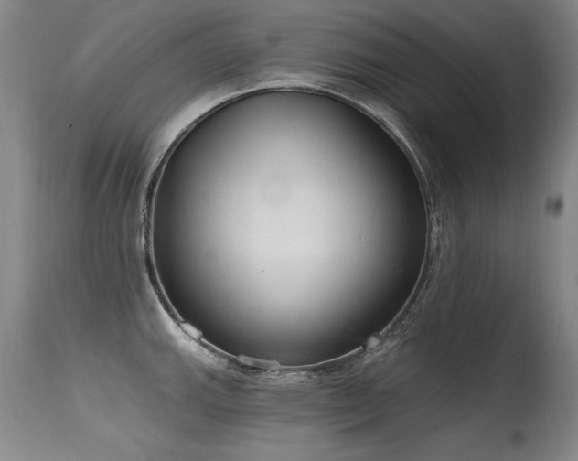 X0000115631143200911101432