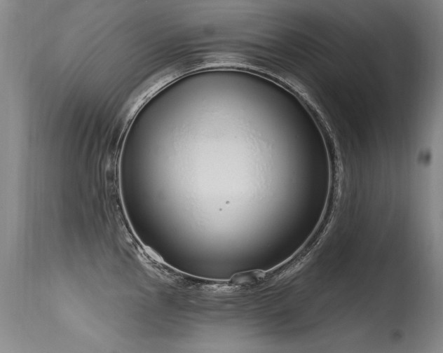 X0000115631145200911101432