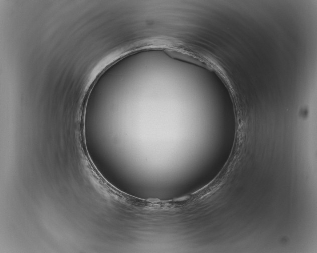 X0000115631146200911101432