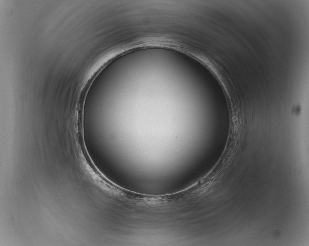 X0000115631147200911101432