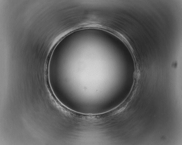 X0000115631149200911101432