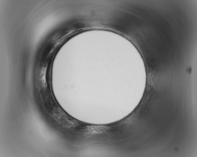 X0000115631150200911101432