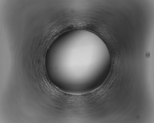 X0000115631153200911101431