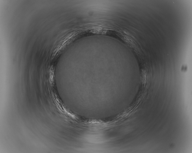 X0000115631154200911101431