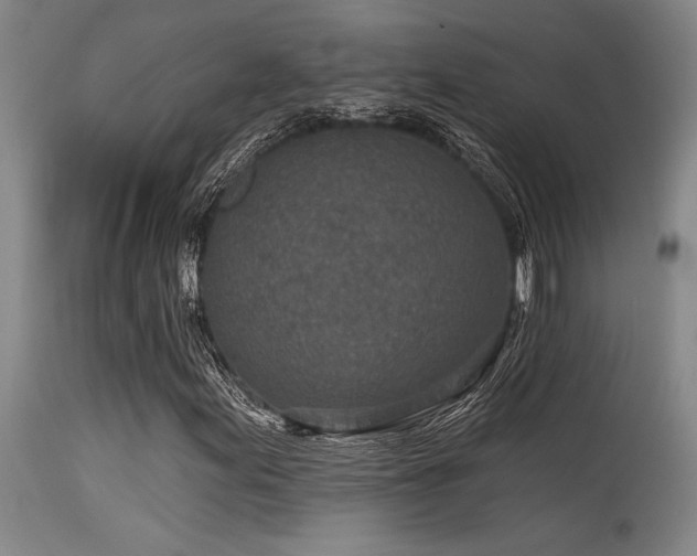 X0000115631155200911101431