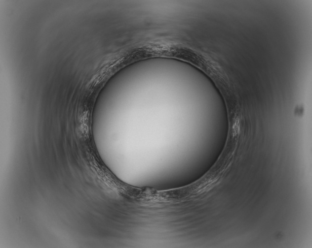 X0000115631156200911101431