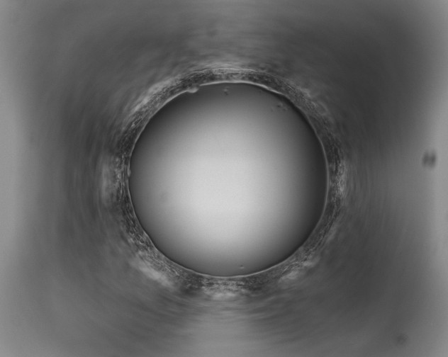 X0000115631157200911101431