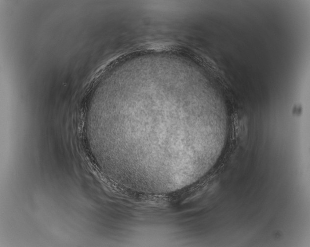 X0000115631158200911101431