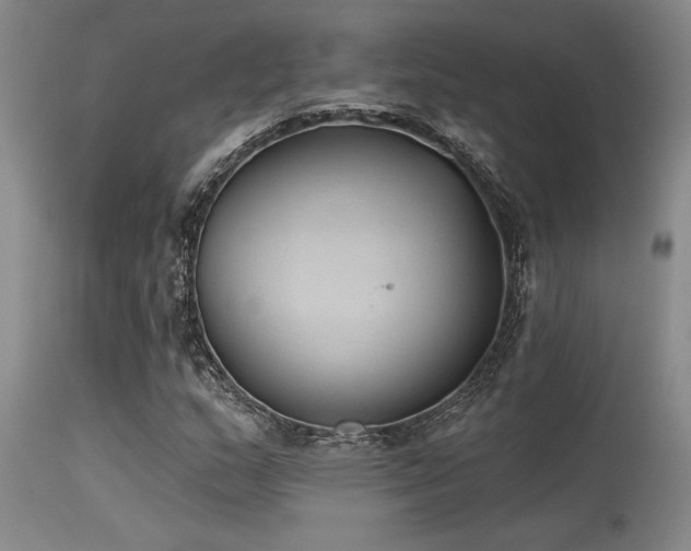 X0000115631159200911101431
