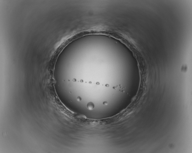 X0000115631160200911101431