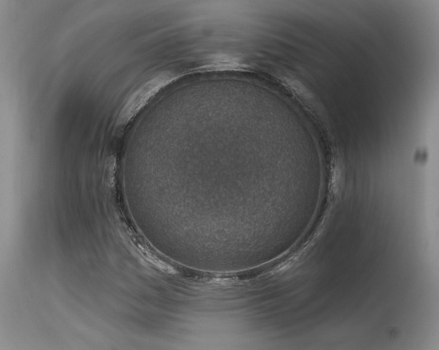 X0000115631161200911101431