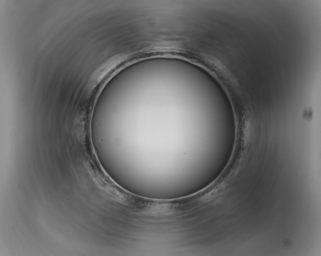 X0000115631162200911101431