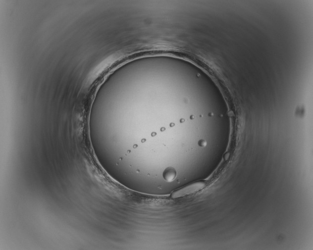 X0000115631163200911101431