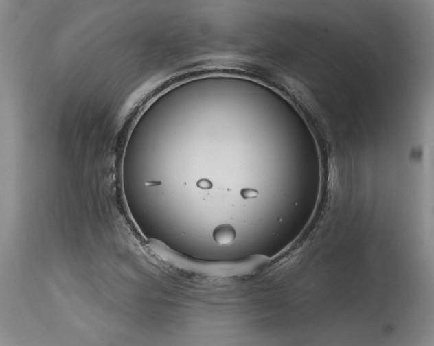 X0000115631164200911101431