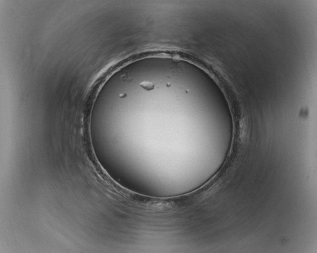 X0000115631165200911101431