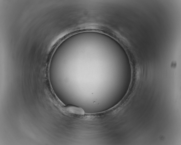 X0000115631166200911101431