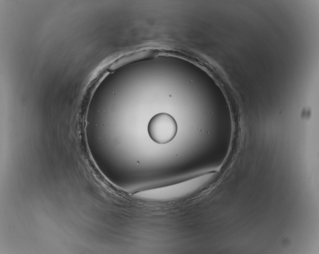X0000115631168200911101431