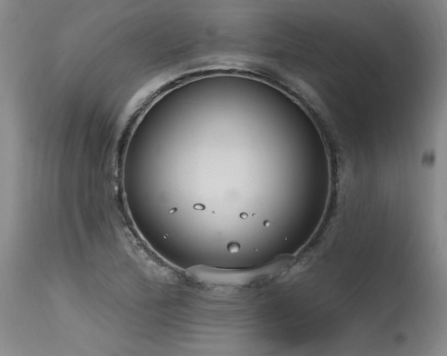 X0000115631172200911101431