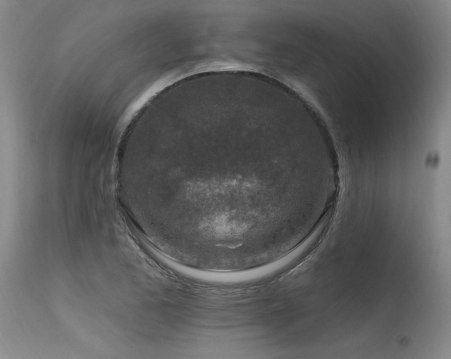 X0000115631173200911101431