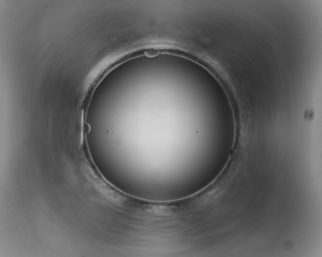 X0000115631175200911101431