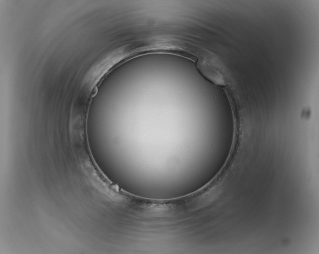 X0000115631177200911101431