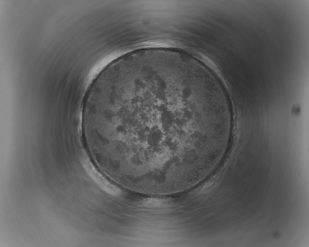 X0000115631179200911101431