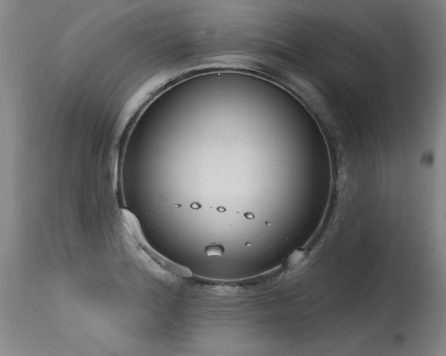 X0000115631180200911101431