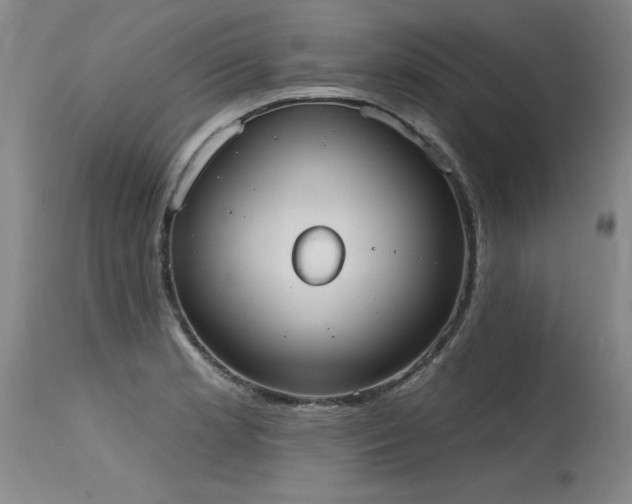 X0000115631181200911101431
