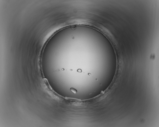 X0000115631182200911101431