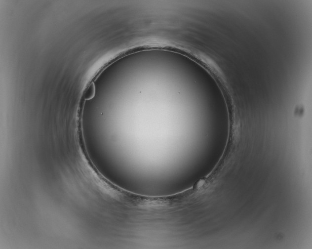 X0000115631183200911101430