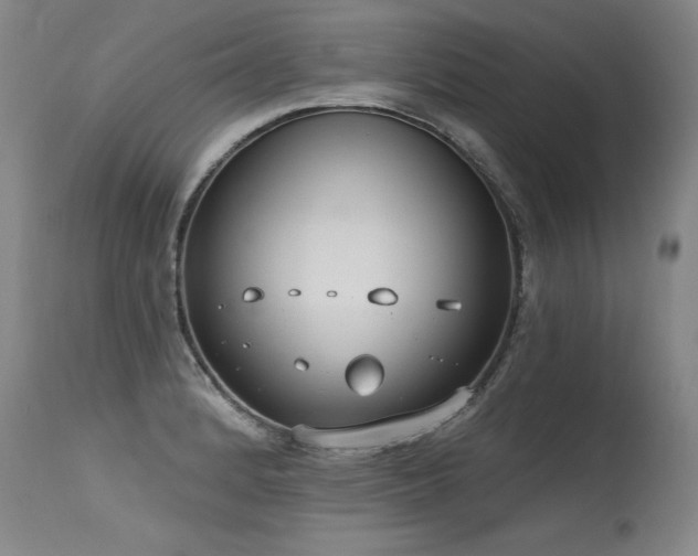 X0000115631184200911101430