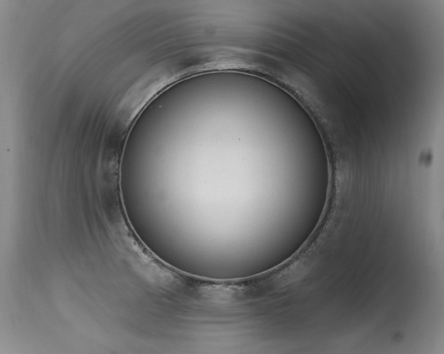X0000115631185200911101430