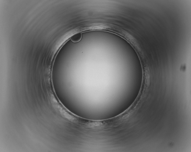 X0000115631186200911101430