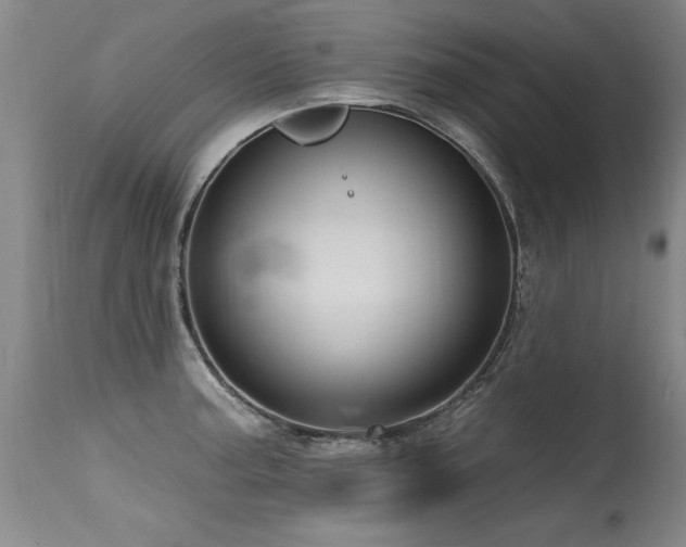X0000115631187200911101430