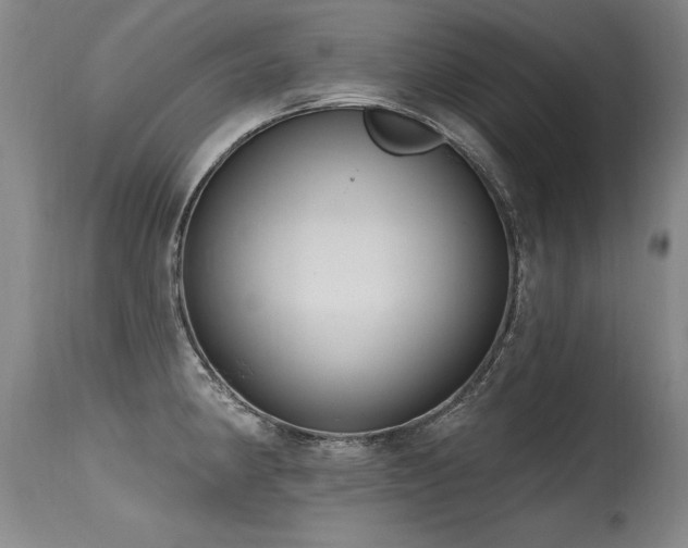 X0000115631190200911101430