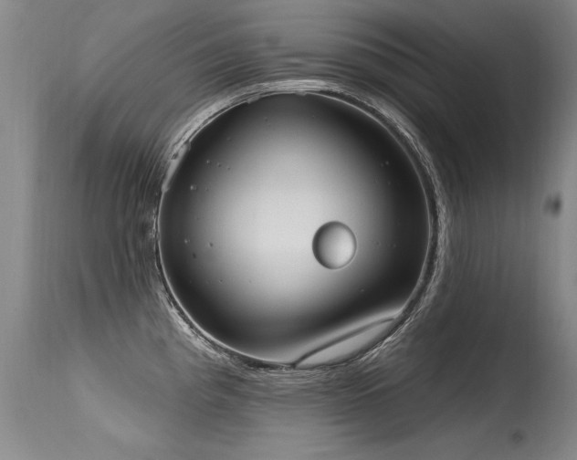 X0000115631193200911101430