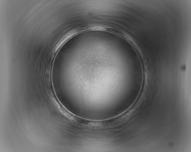X0000115631194200911101430
