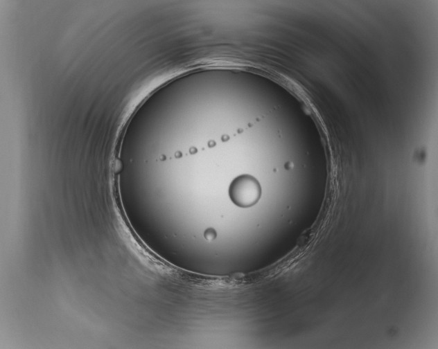 X0000115631195200911101430