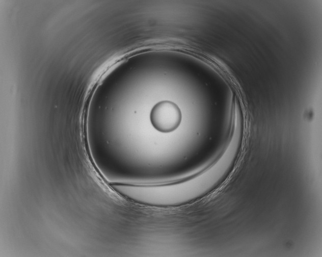 X0000115631196200911101430