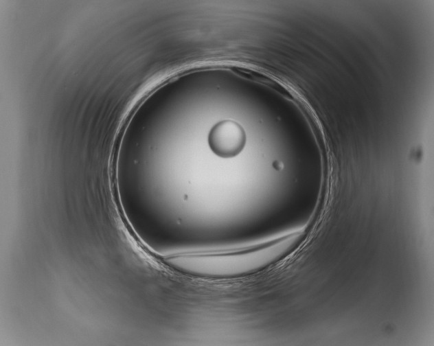 X0000115631197200911101430