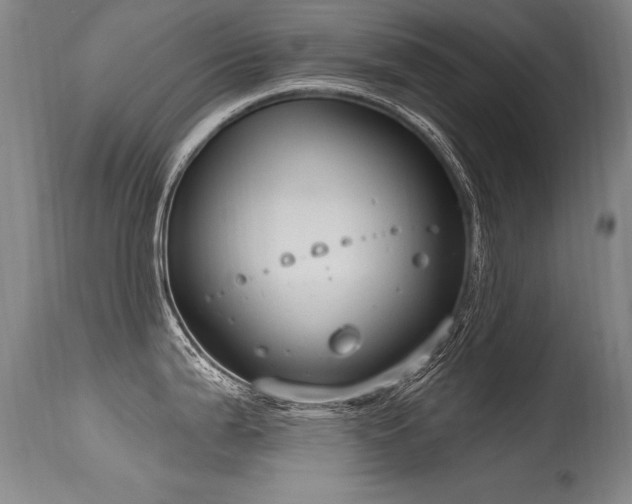 X0000115631199200911101430