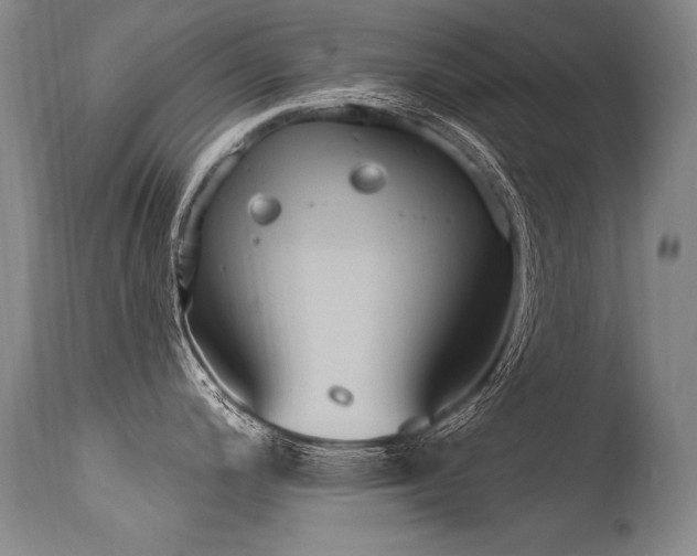 X0000115631200200911101430