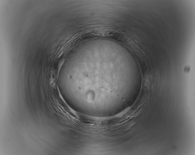 X0000115631202200911101430