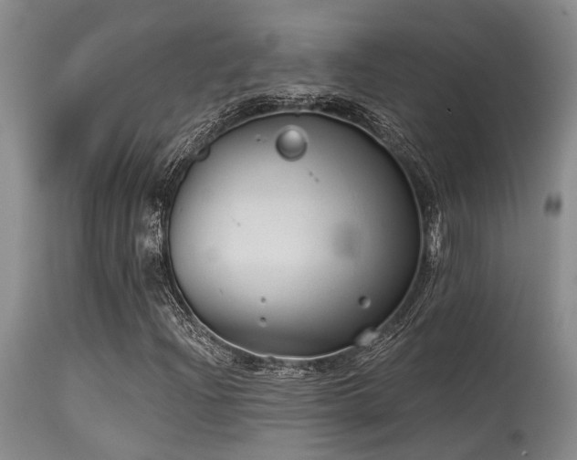 X0000115631204200911101430