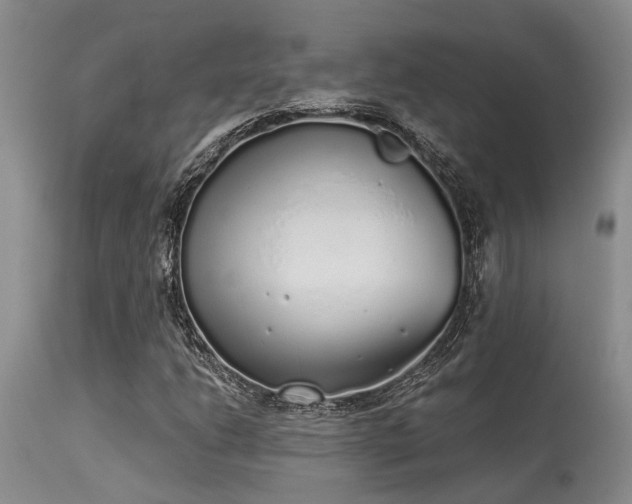 X0000115631206200911101430