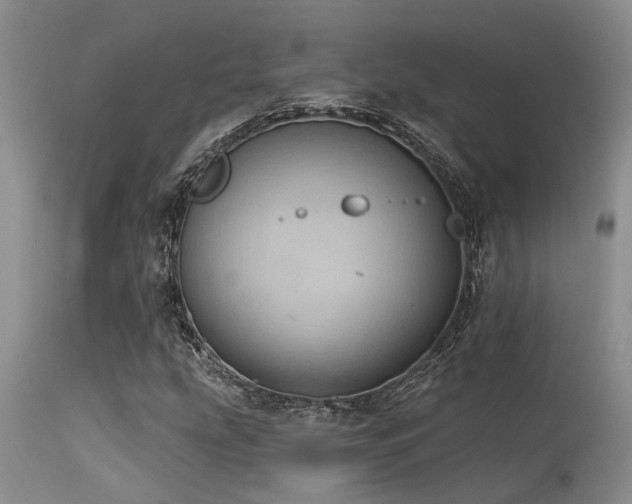 X0000115631207200911101430