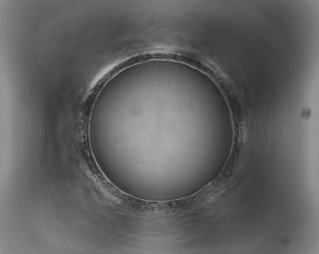X0000115631208200911101430