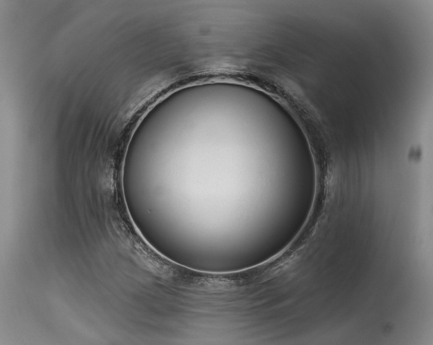 X0000115631209200911101430