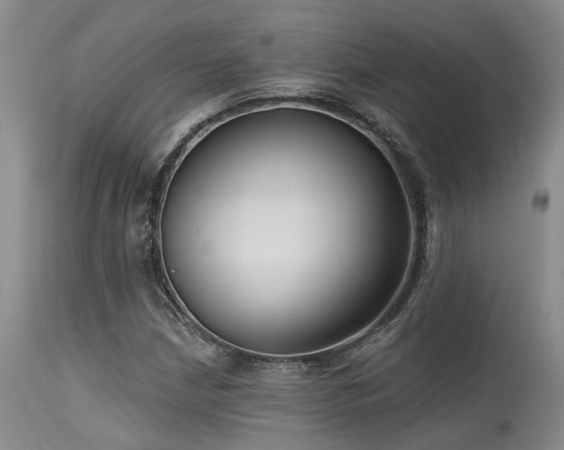X0000115631210200911101430
